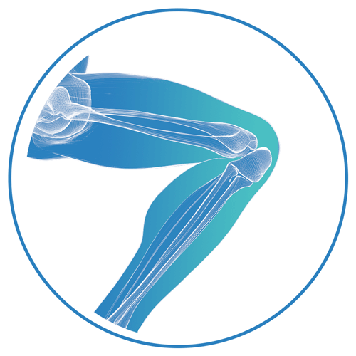 Two tone x-ray view of leg depicting using bike for arms to prevent knee pain